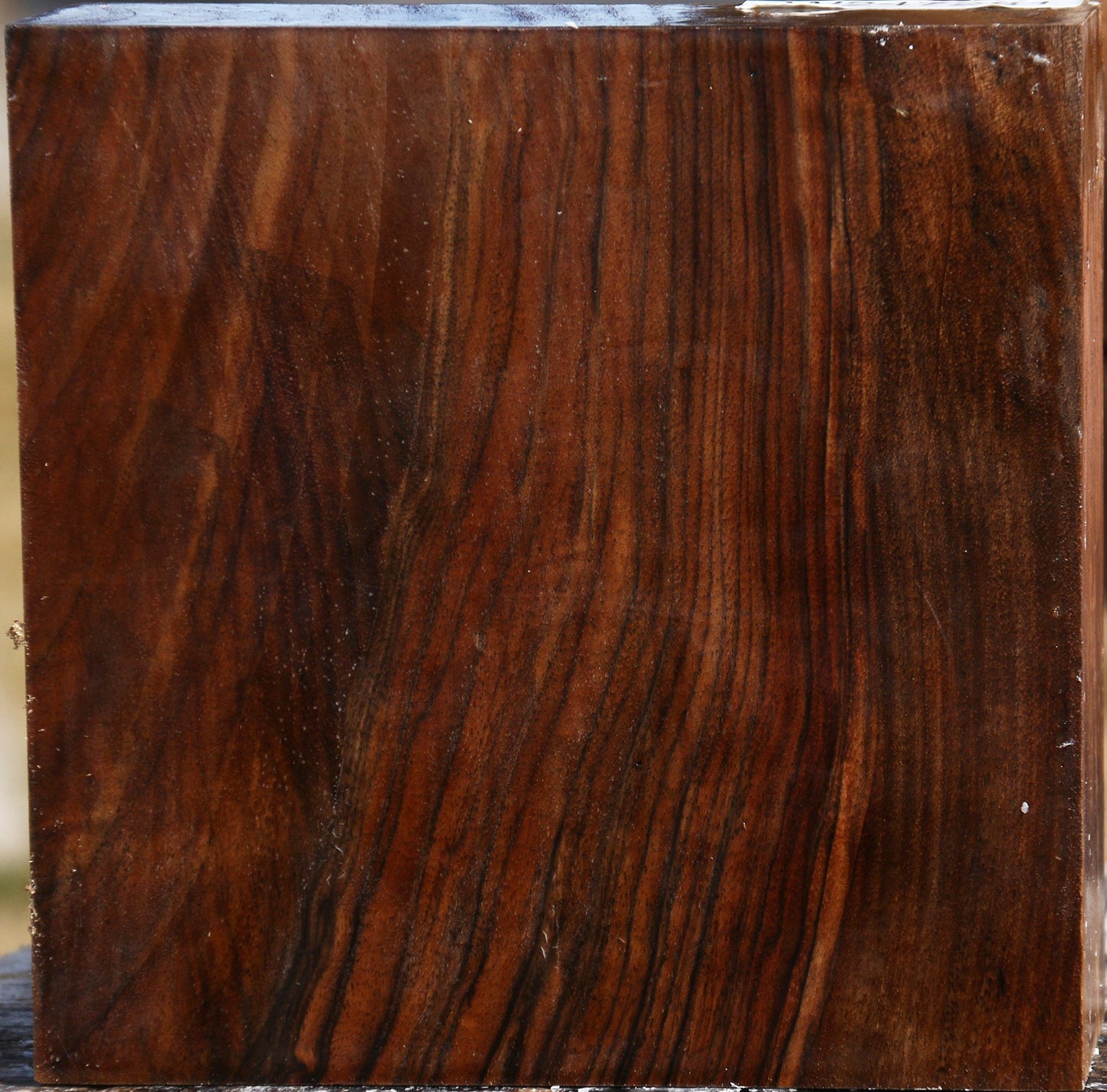 Figured English Walnut Bowl Blank
