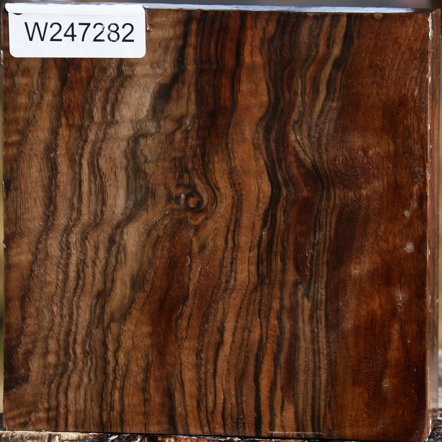 Extra Fancy English Walnut Bowl Blank