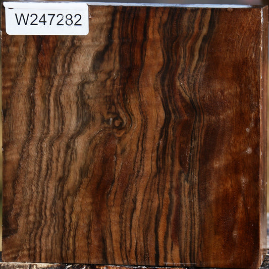 Extra Fancy English Walnut Bowl Blank