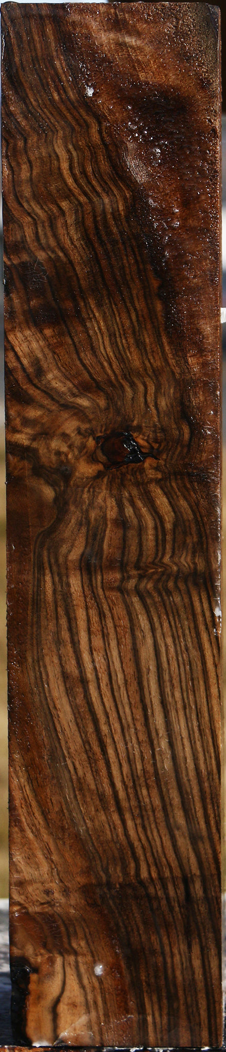 Extra Fancy English Walnut Forend