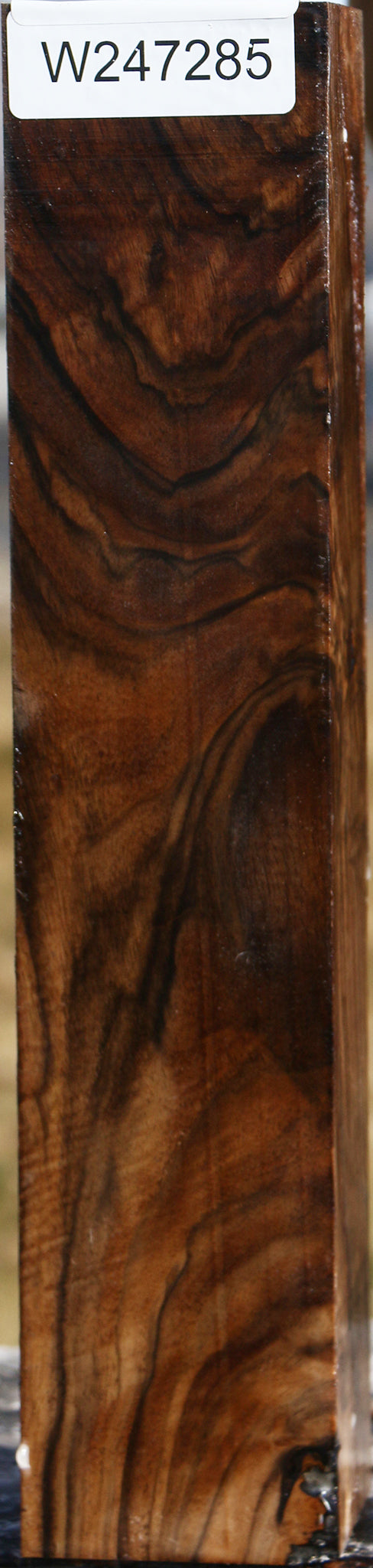 Extra Fancy English Walnut Forend