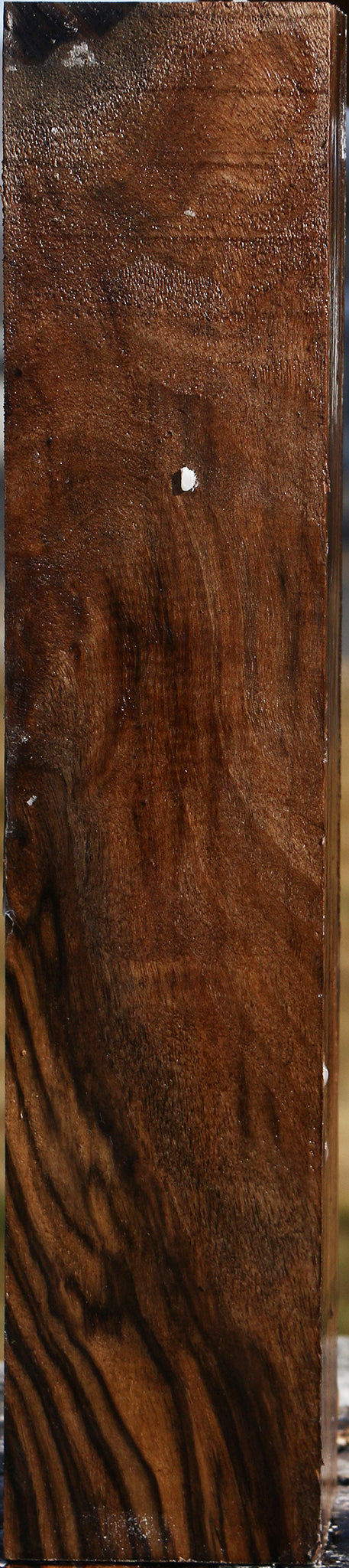 Extra Fancy English Walnut Forend