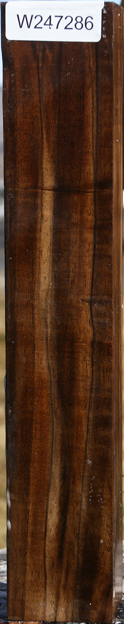 Figured English Walnut Forend