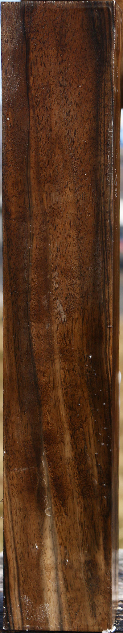 Figured English Walnut Forend