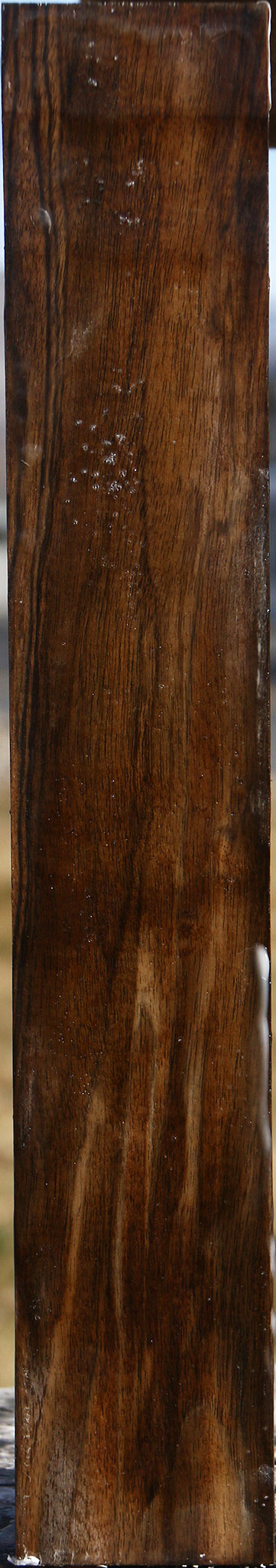 Figured English Walnut Forend
