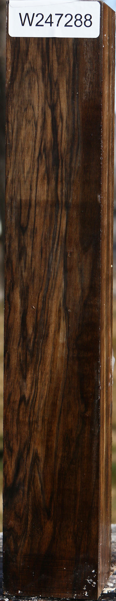 Extra Fancy English Walnut Forend