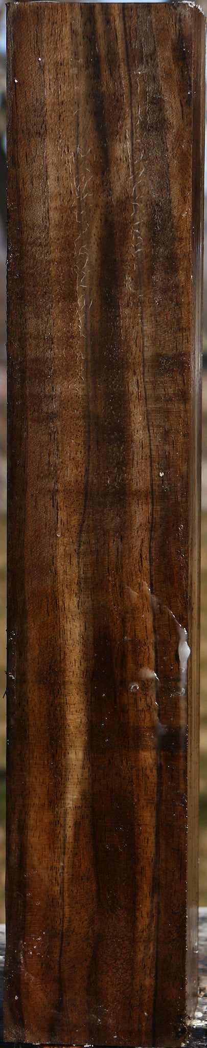 Extra Fancy English Walnut Forend