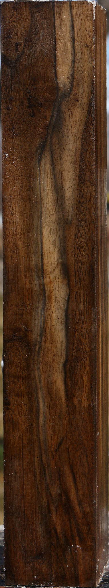 Extra Fancy English Walnut Forend