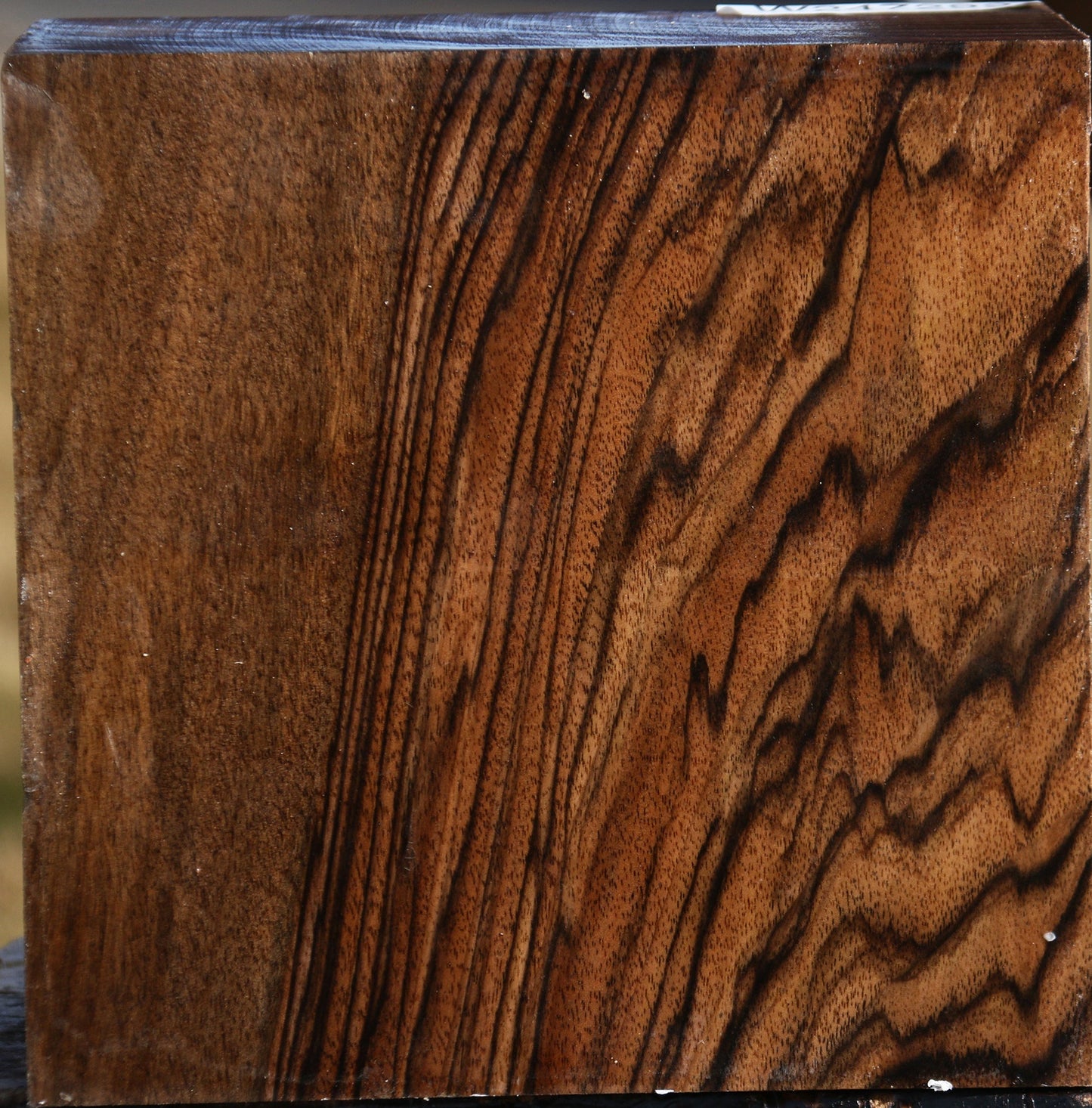 Exhibition English Walnut Bowl Blank