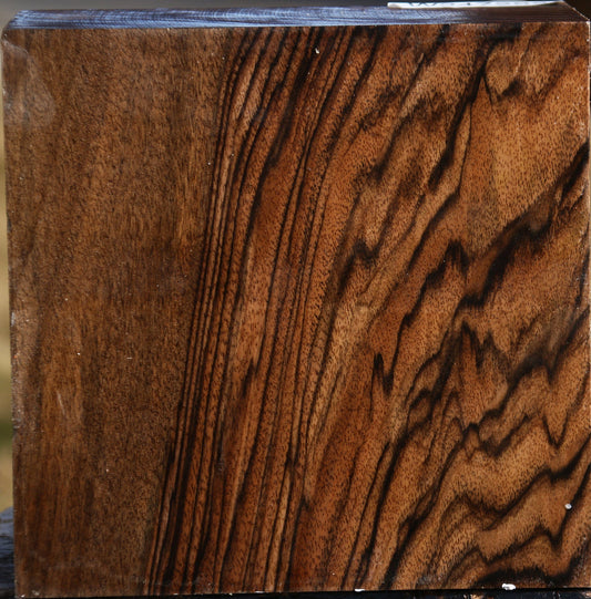 Exhibition English Walnut Bowl Blank