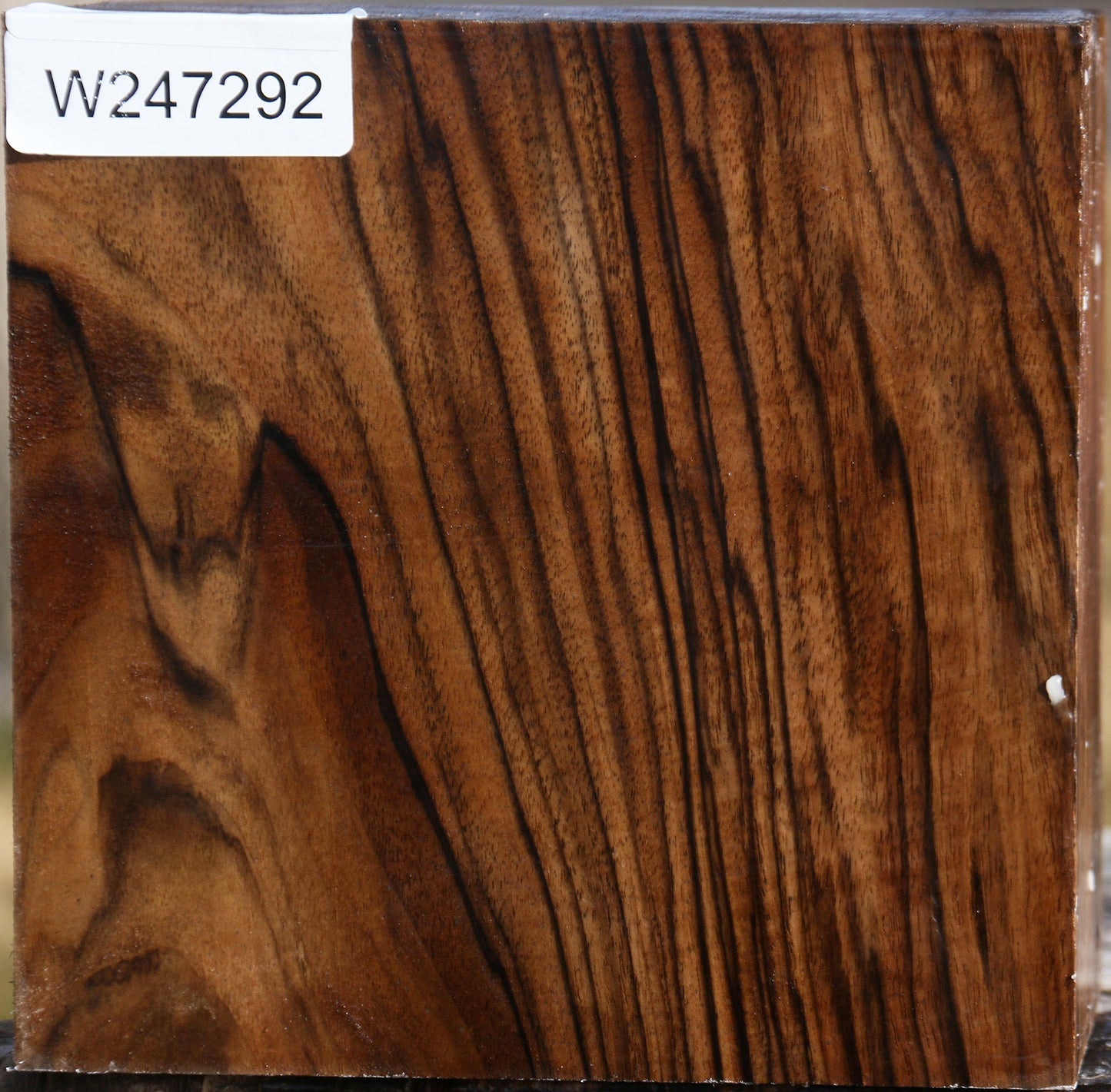 Exhibition English Walnut Bowl Blank