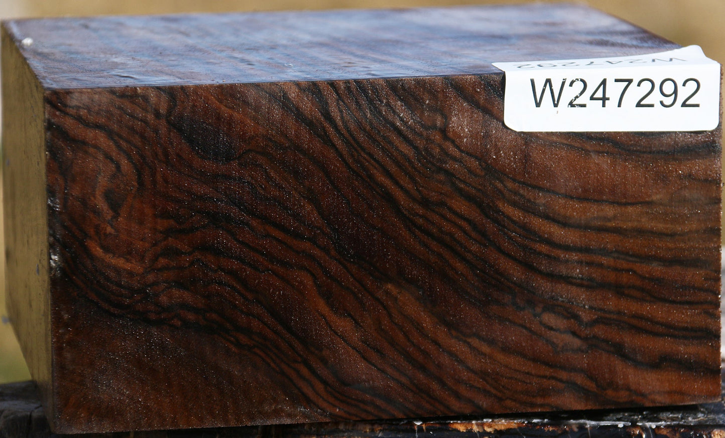 Exhibition English Walnut Bowl Blank