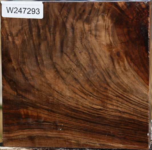 Exhibition Crotchwood English Walnut Bowl Blank