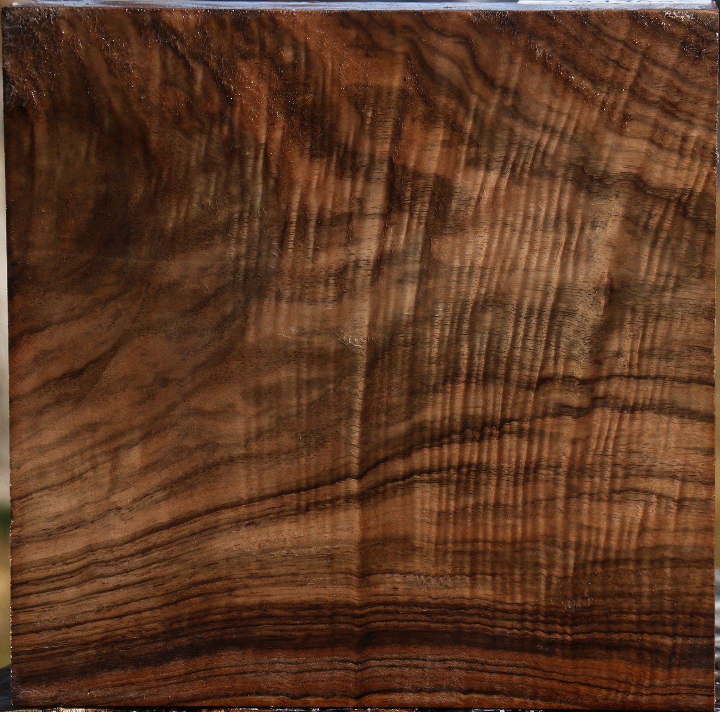 Exhibition Crotchwood English Walnut Bowl Blank