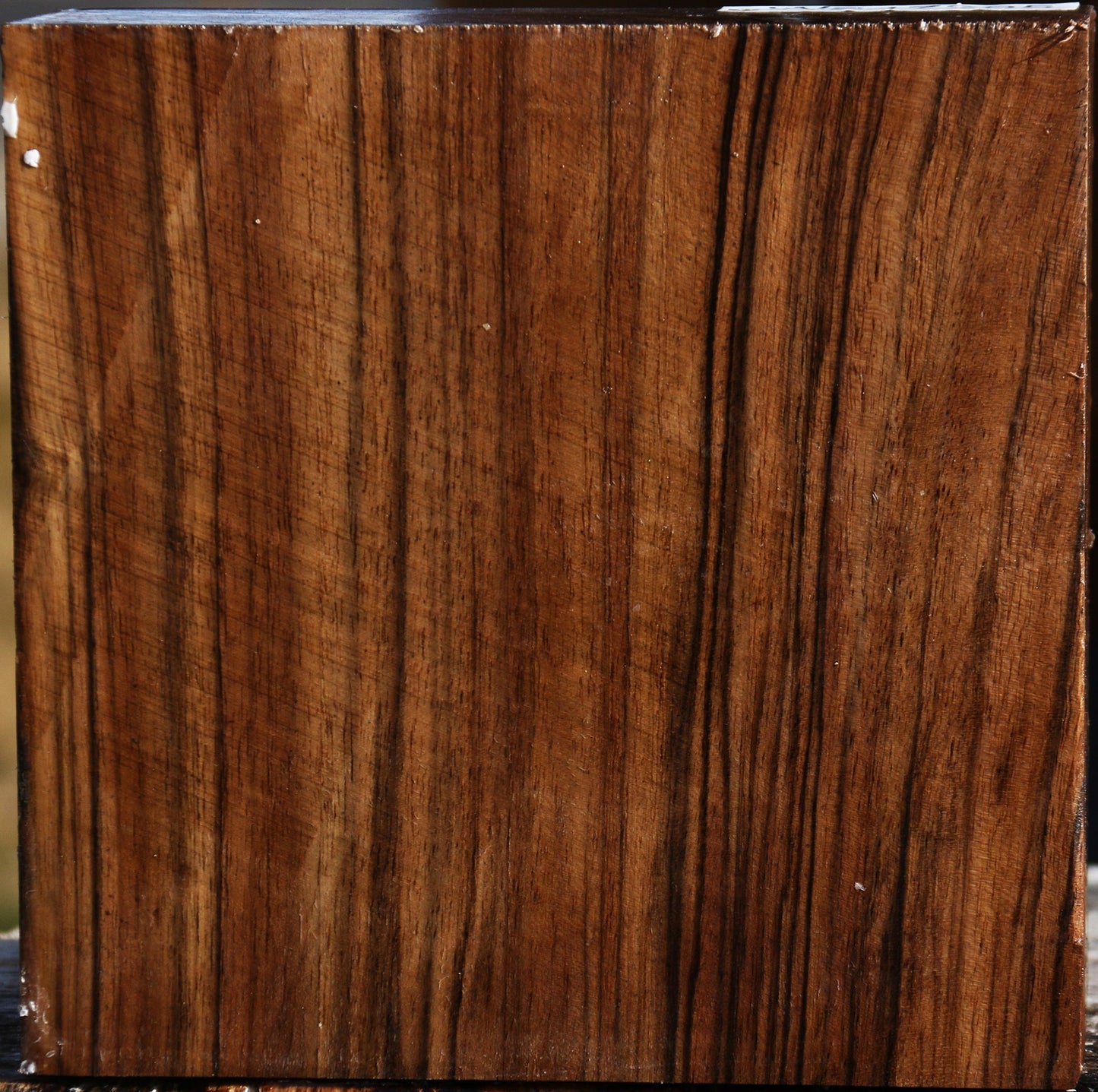 Extra Fancy English Walnut Bowl Blank