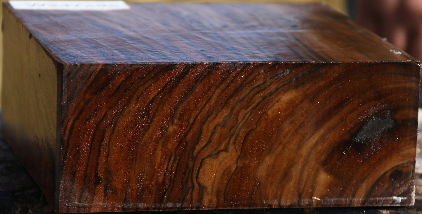 Extra Fancy English Walnut Bowl Blank