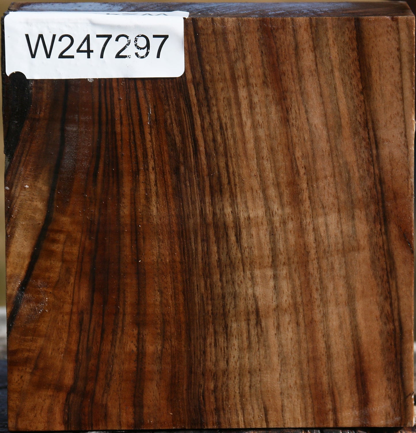 Figured English Walnut Bowl Blank