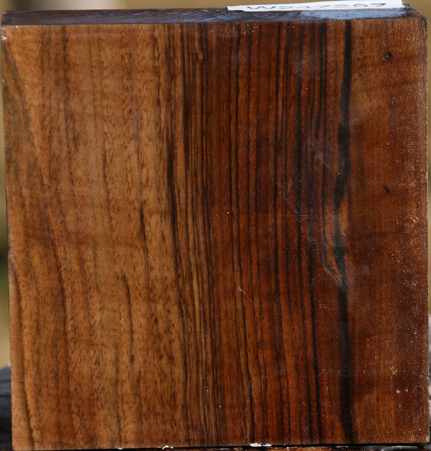 Figured English Walnut Bowl Blank