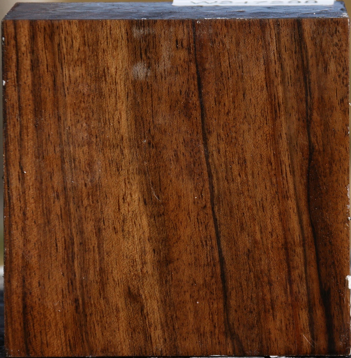 Extra Fancy English Walnut Bowl Blank