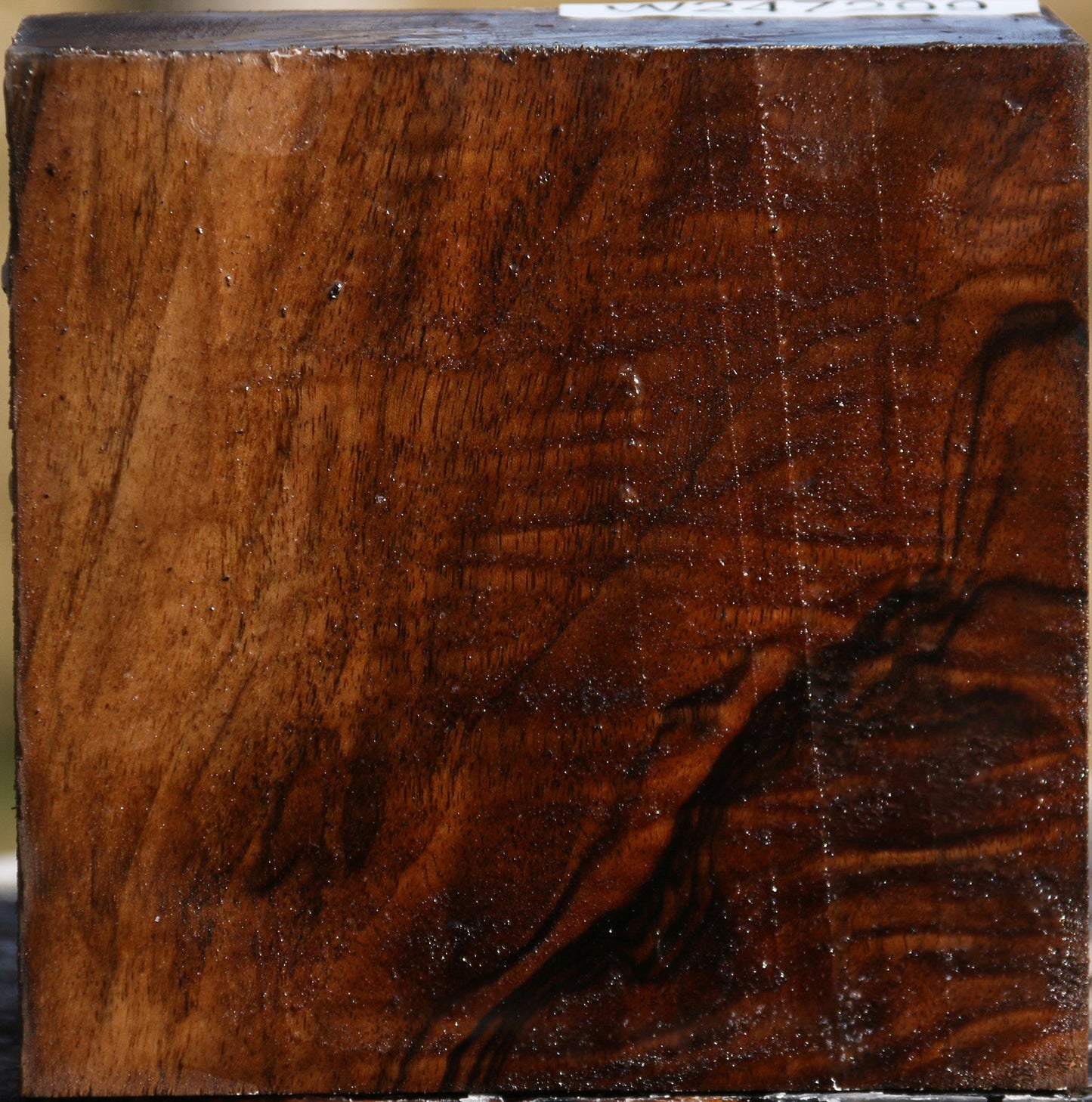 Extra Fancy English Walnut Bowl Blank