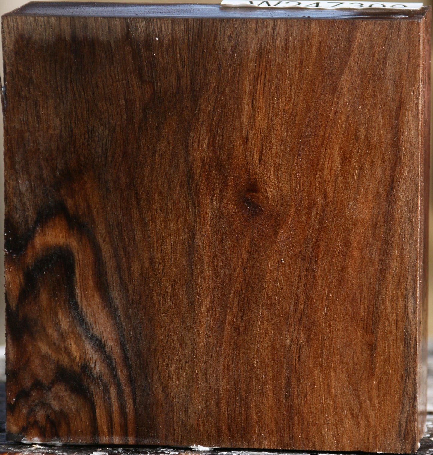 Figured English Walnut Bowl Blank