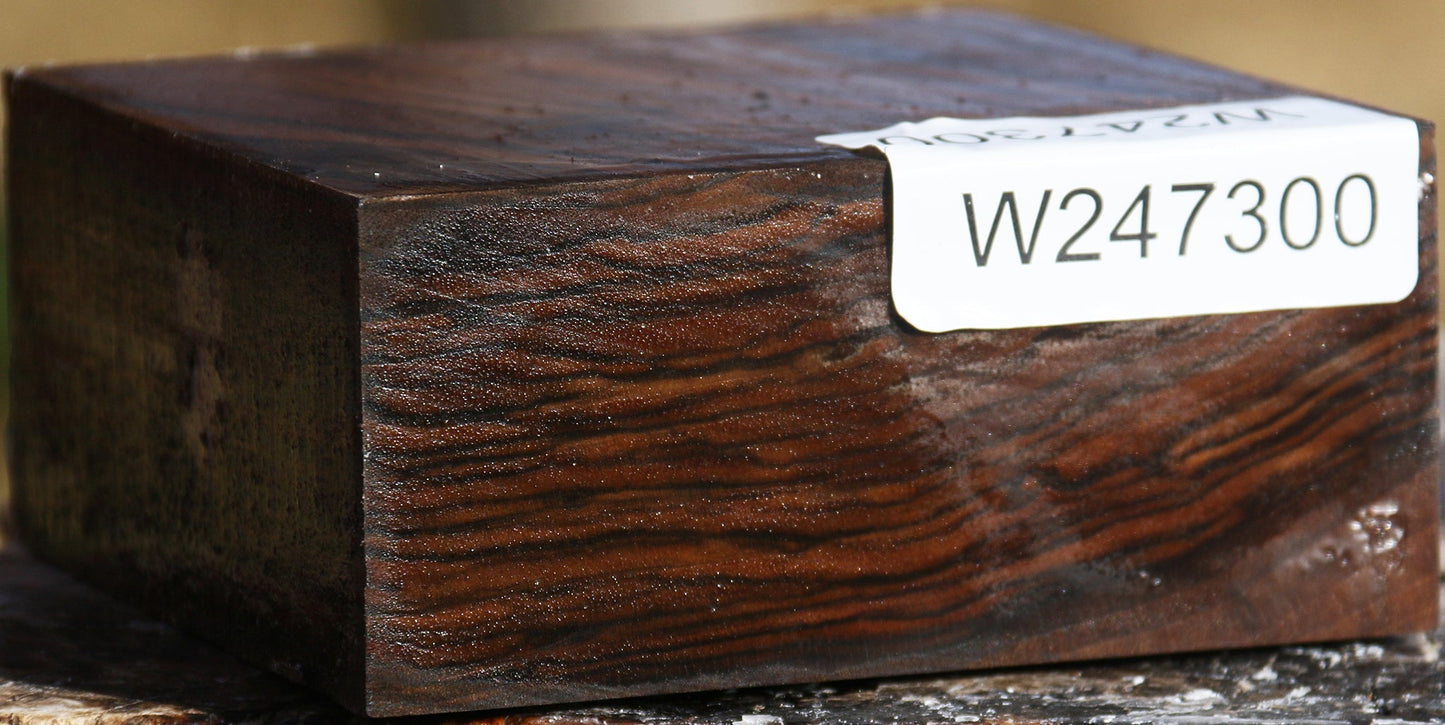 Figured English Walnut Bowl Blank