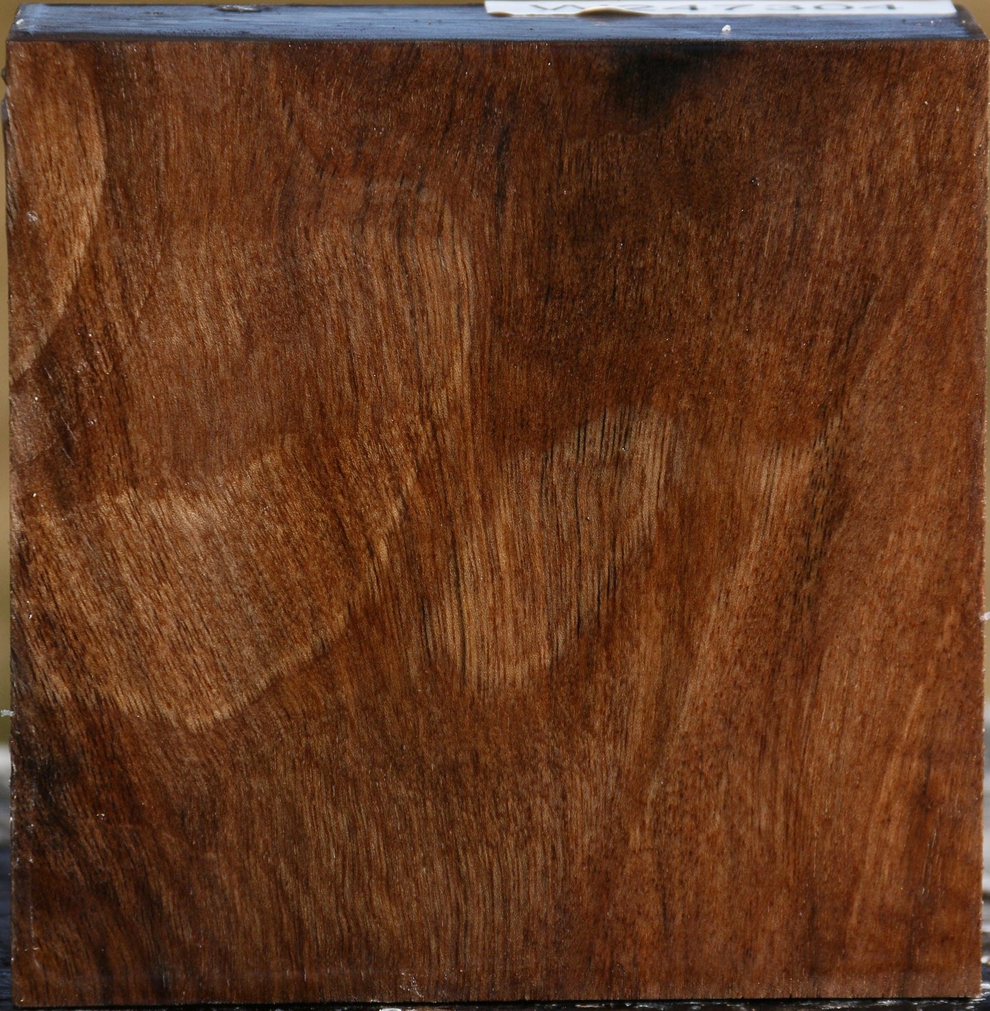 Figured English Walnut Bowl Blank