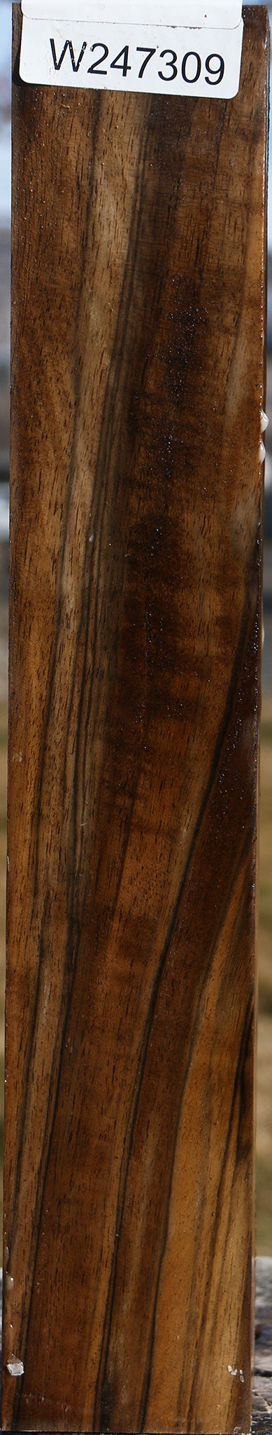 Extra Fancy English Walnut Forend