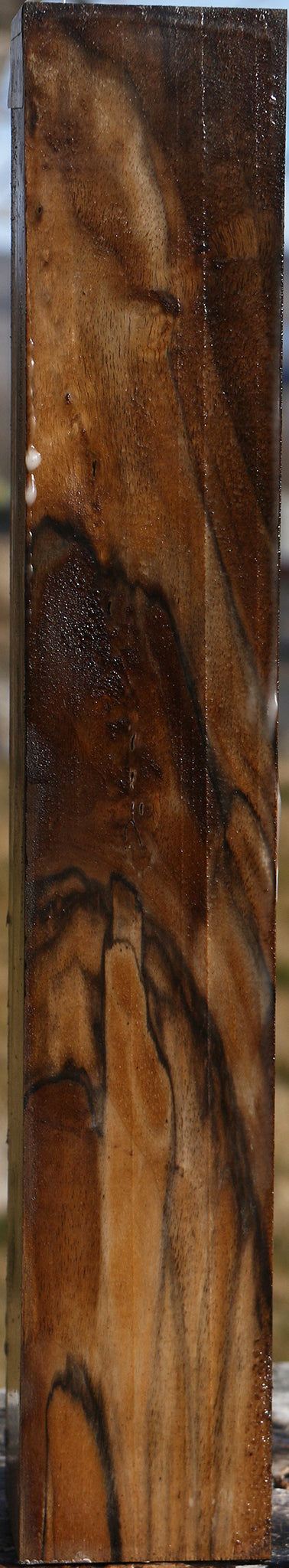 Extra Fancy English Walnut Forend