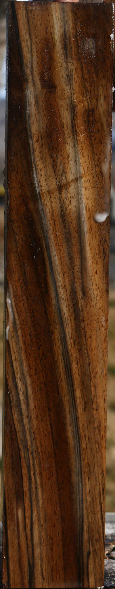 Extra Fancy English Walnut Forend