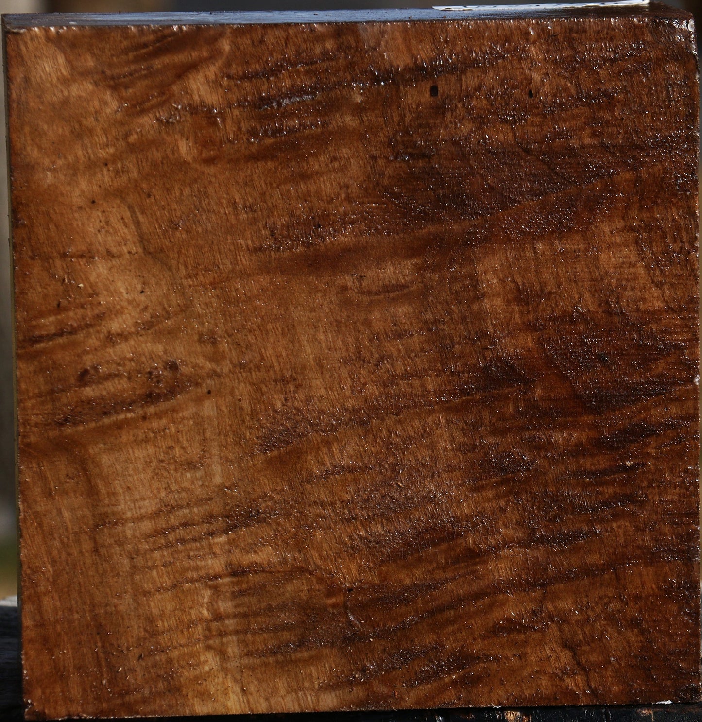 Extra Fancy English Walnut Bowl Blank