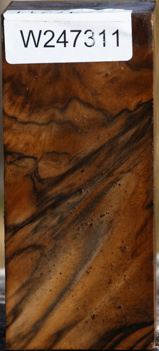 Extra Fancy English Walnut Turning Blank