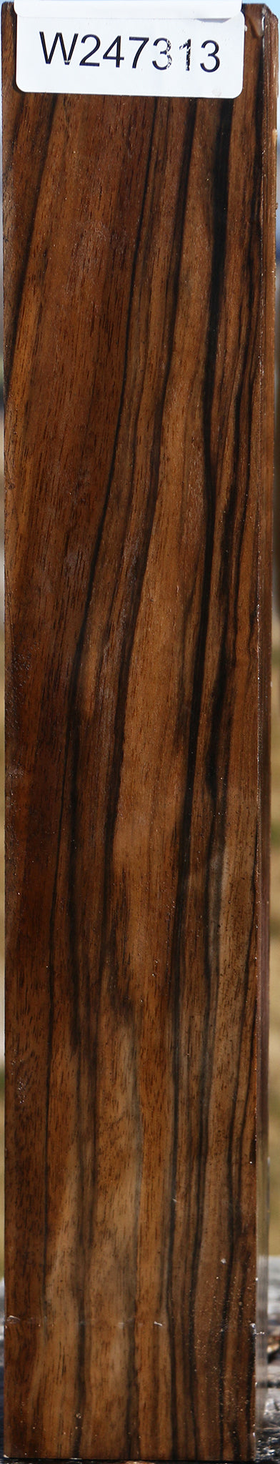 Extra Fancy English Walnut Forend
