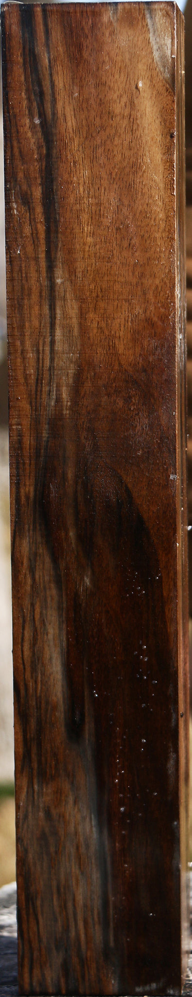 Extra Fancy English Walnut Forend