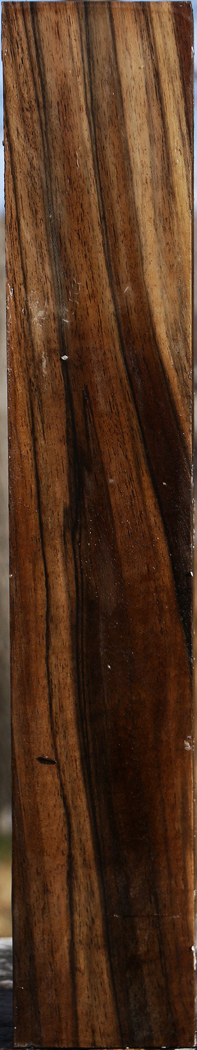 Extra Fancy English Walnut Forend