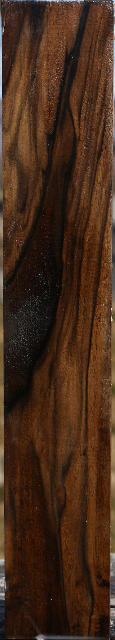 Extra Fancy English Walnut Forend