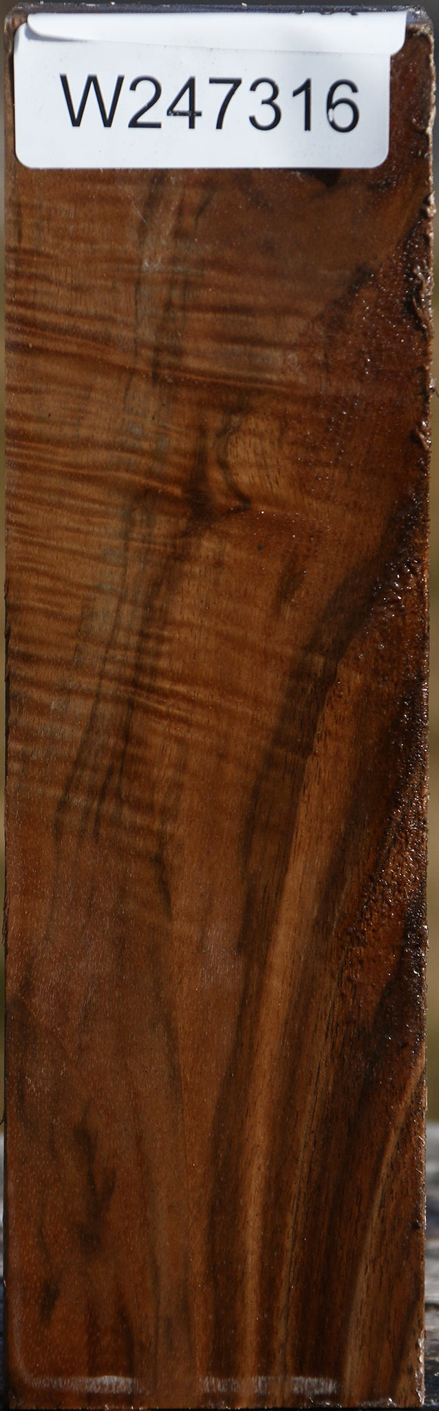 Extra Fancy English Walnut Peppermill