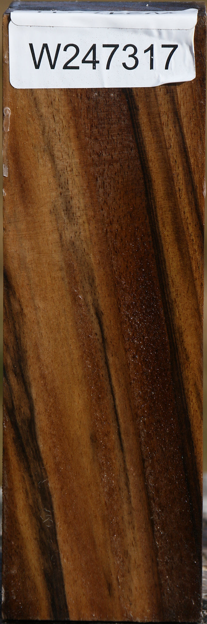 Extra Fancy English Walnut Turning Blank