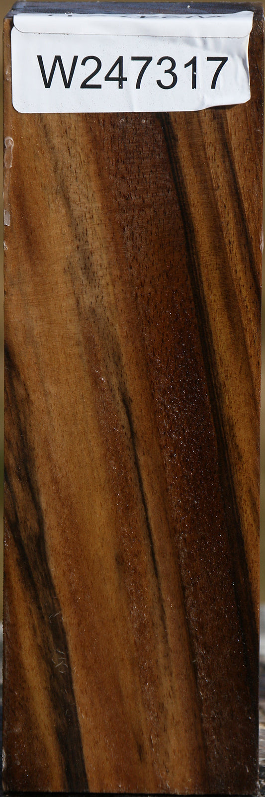 Extra Fancy English Walnut Turning Blank