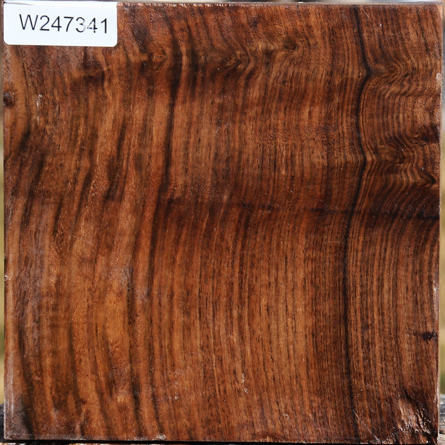 Figured Claro Walnut Bowl Blank