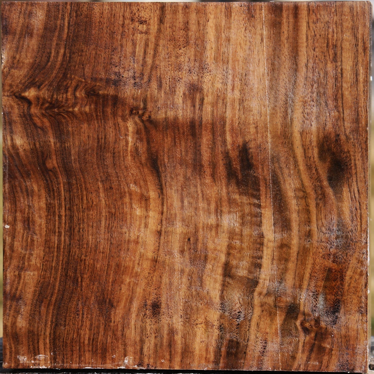 Figured Claro Walnut Bowl Blank