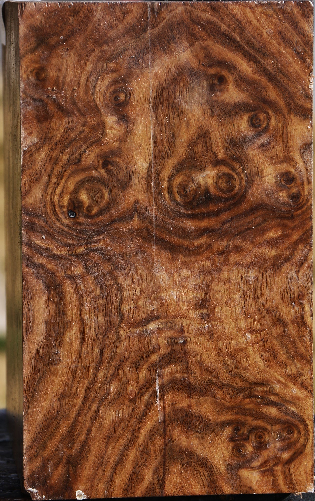 Figured Claro Walnut Bowl Blank