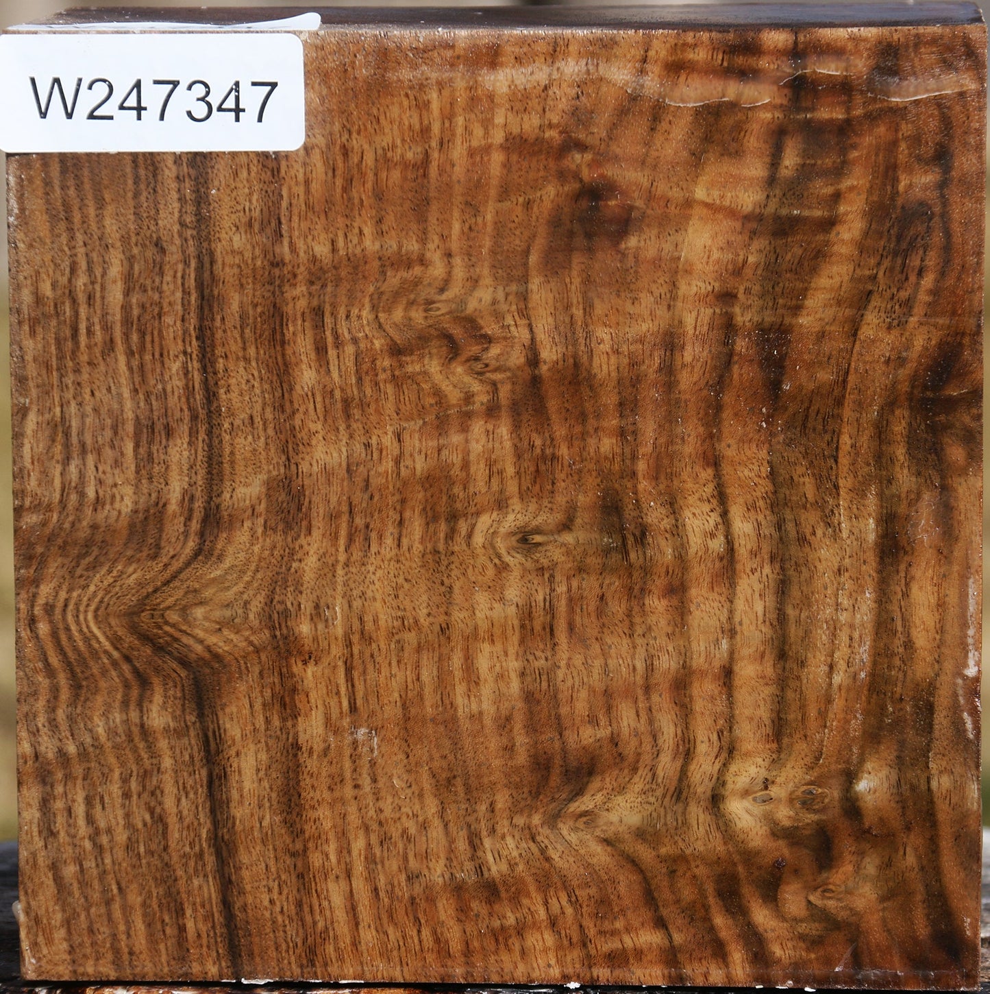 Figured Claro Walnut Bowl Blank