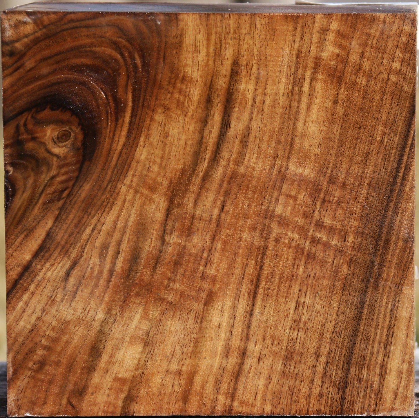 Figured Claro Walnut Bowl Blank