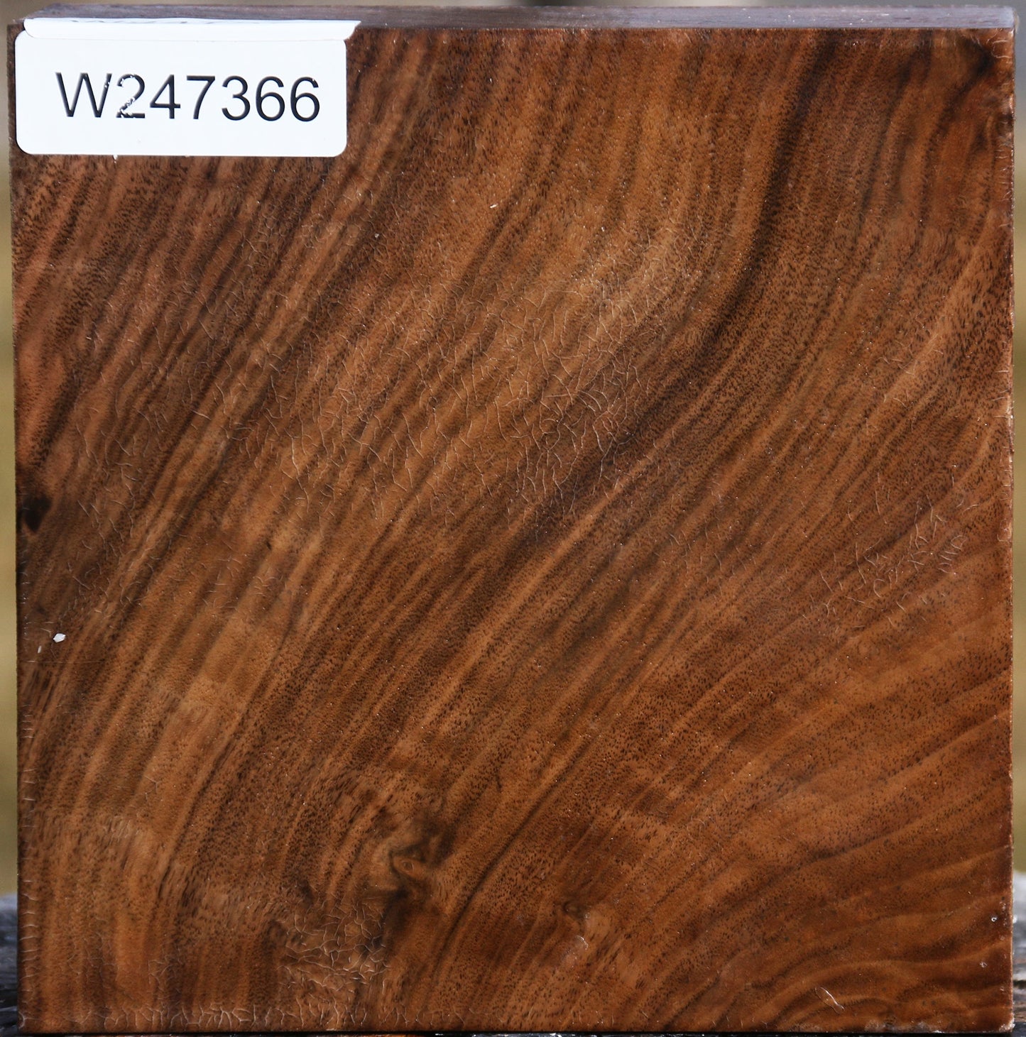 Figured Claro Walnut Bowl Blank