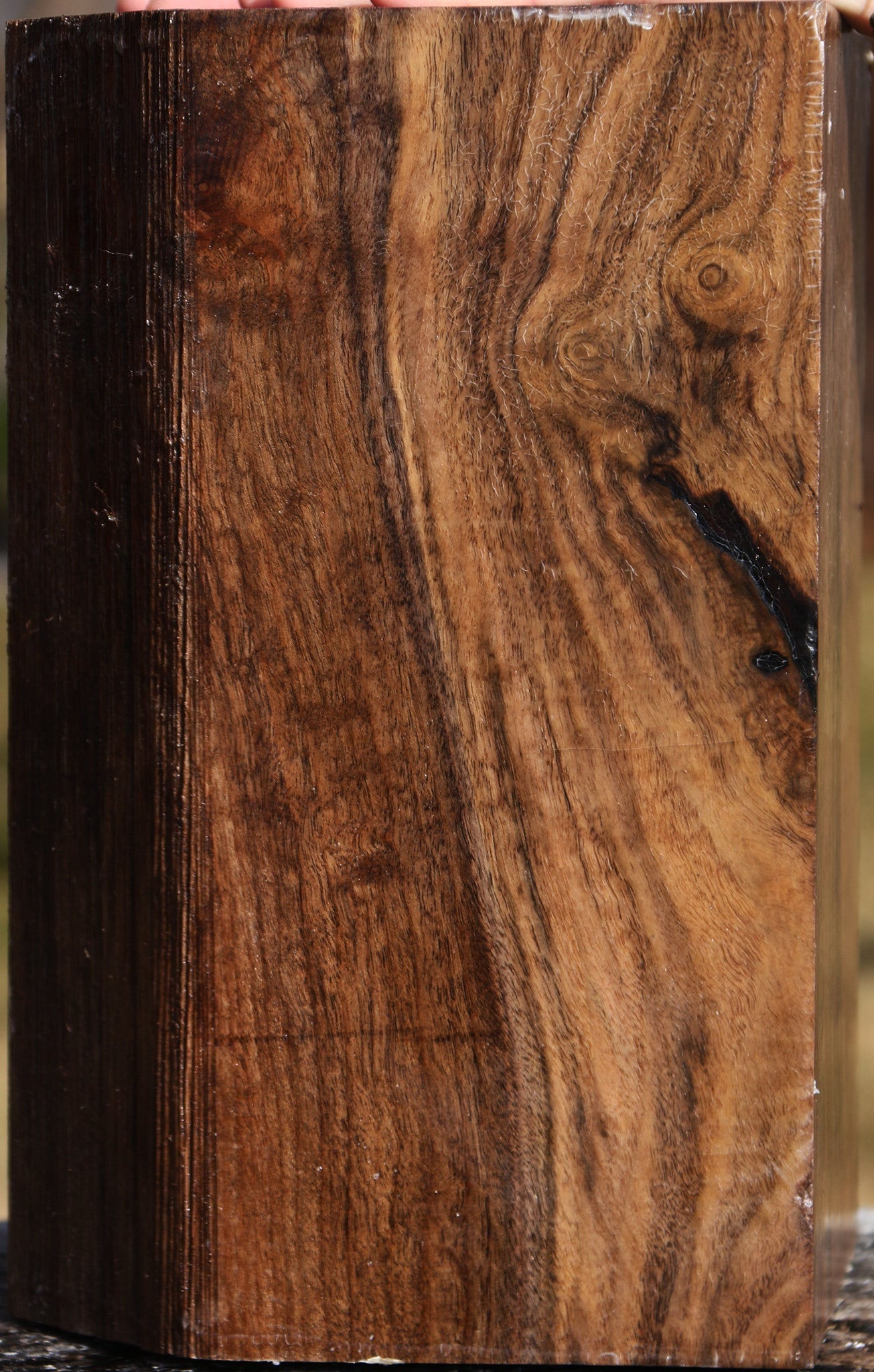 Claro Walnut Vessel Blank