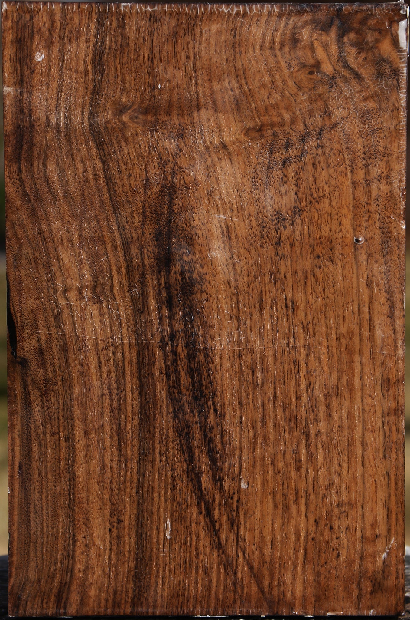 Claro Walnut Vessel Blank