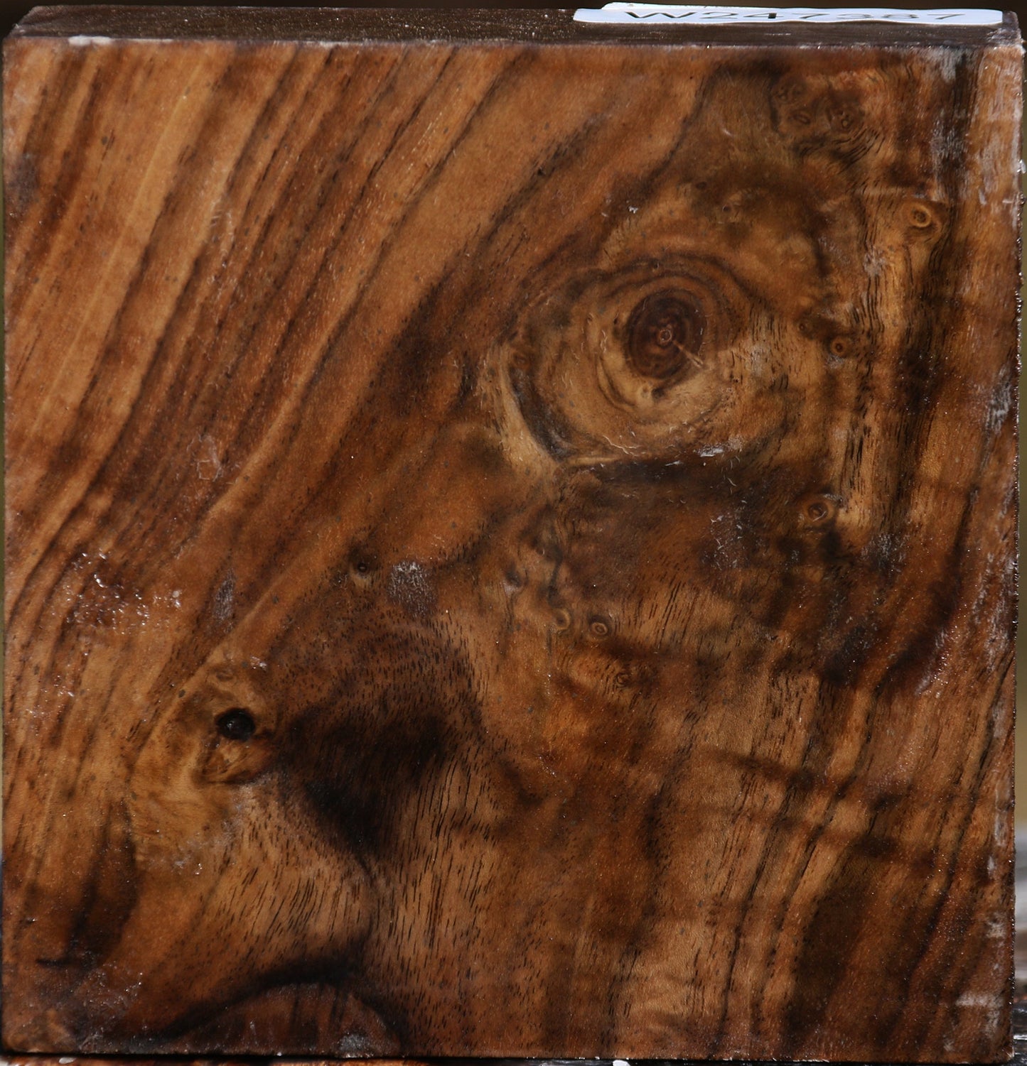 Claro Walnut Bowl Blank