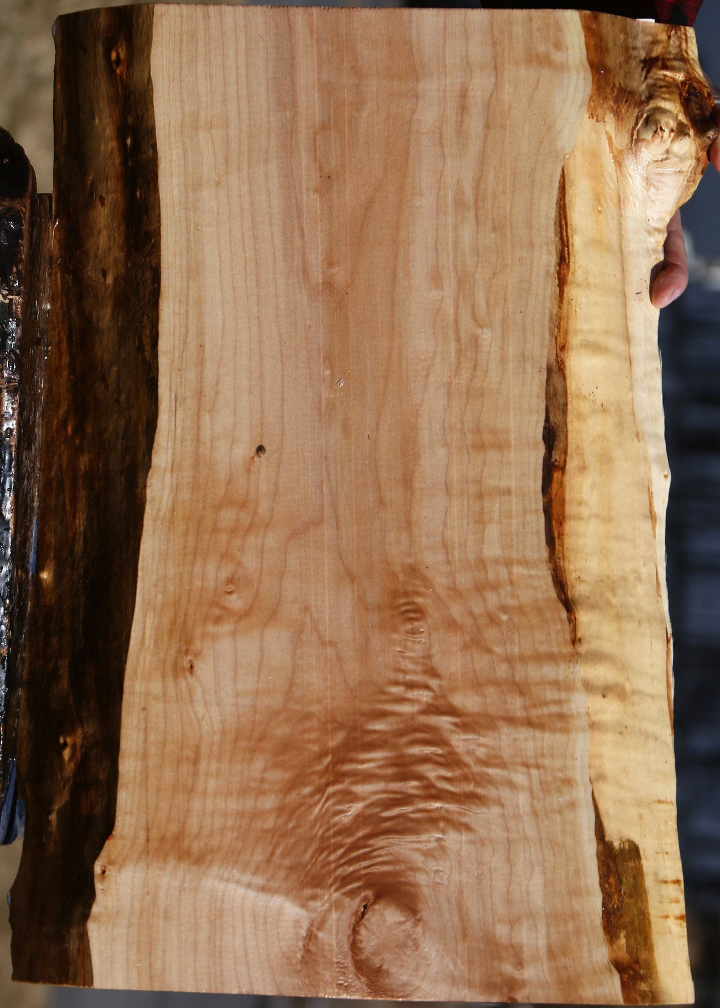 Maple Live Edge Lumber
