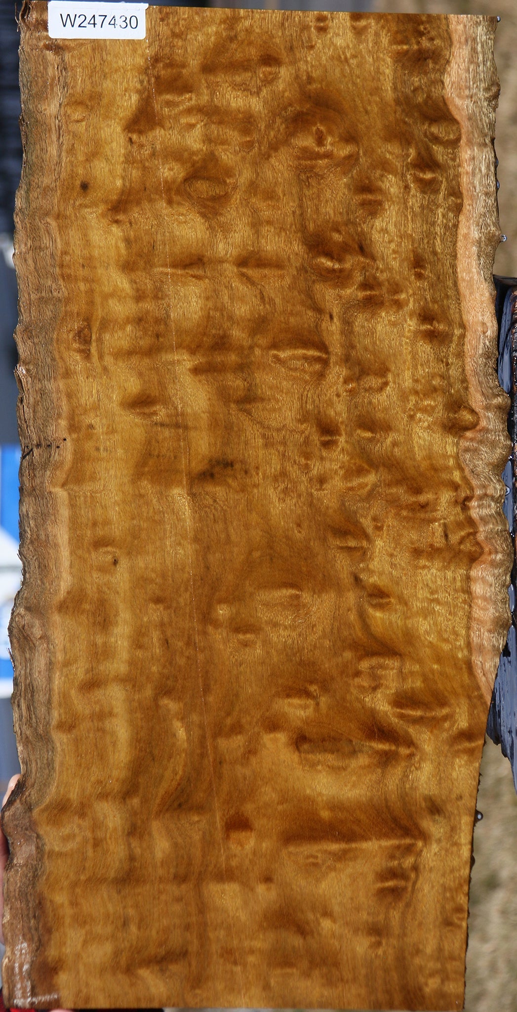 Extra Fancy Itauba Live Edge Lumber